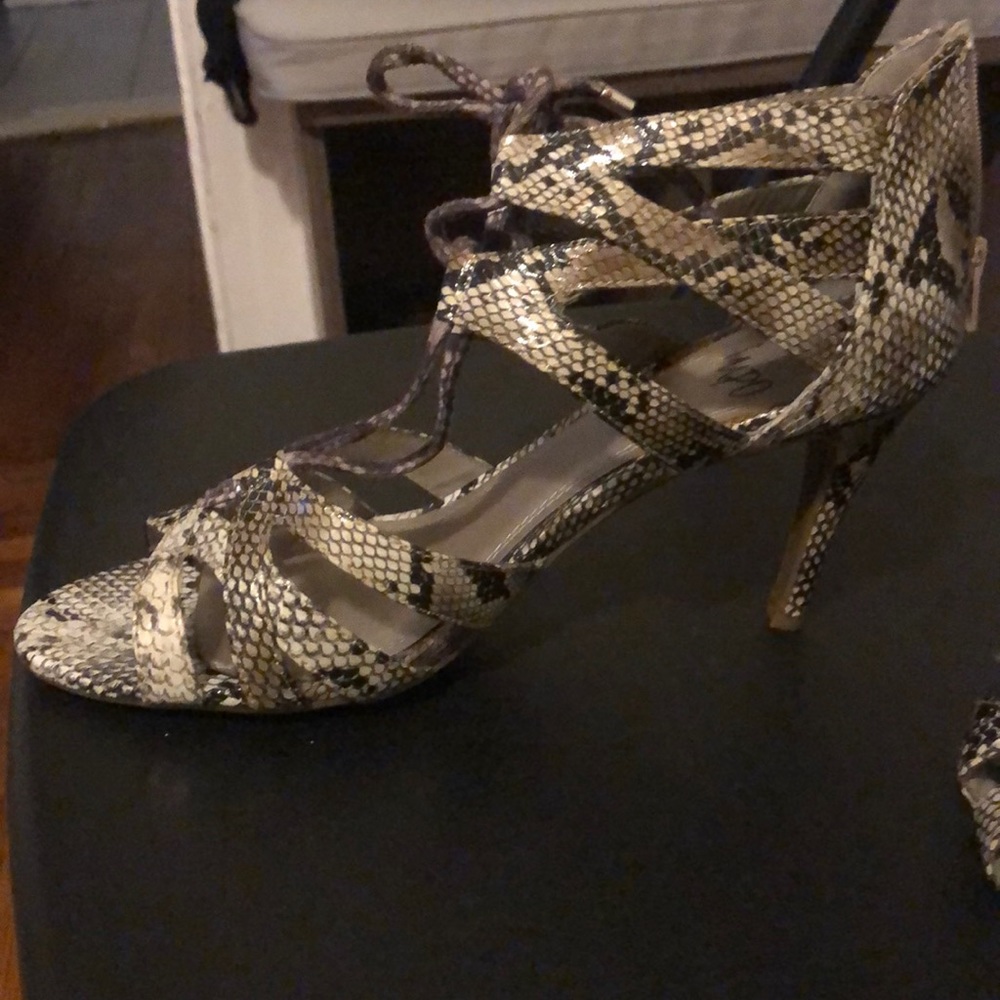 Snakeskin shoes